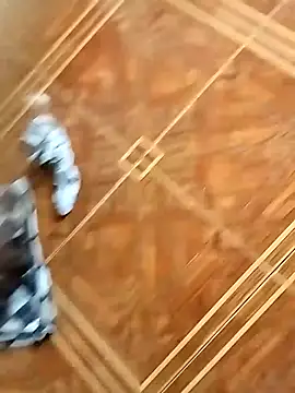 socrathes online show from 26, 2, 2026