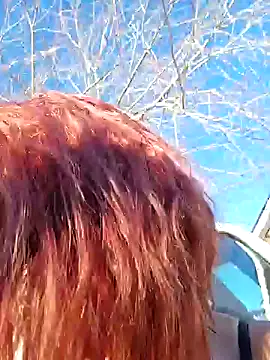 Dixiefaye Pika online show from 19, 12, 2024