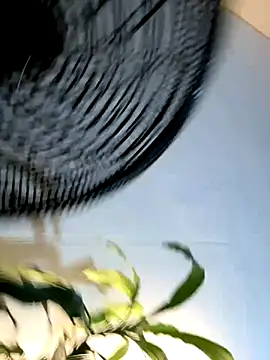  Miguel100 online show from 6, 11, 2025