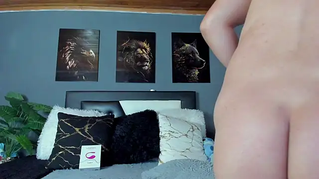 francesco evan online show from 15, 1, 2026