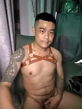 Asianhif online show from 16, 4, 2026