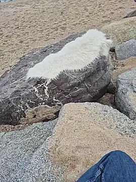 SexyErola27 online show from 19, 12, 2025