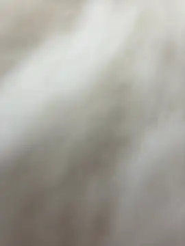 NewLale online show from 27, 1, 2025