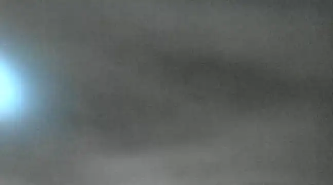 canela wet online show from 18, 1, 2025