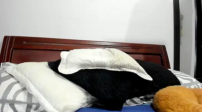 Snapshot of aleziiacam chatting on 14, 2, 2025 aleziiacam online show from 14, 2, 2025