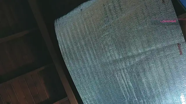 SilvaBranko online show from 13, 4, 2026