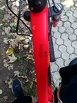 maleesa online show from 4, 10, 2025