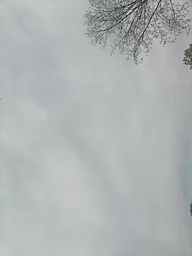 Nkumar173 online show from 13, 2, 2025