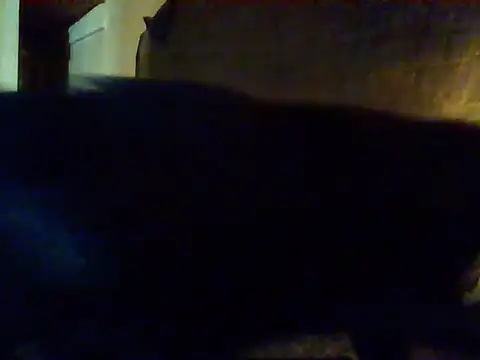 Nightshade7712 online show from 16, 9, 2025