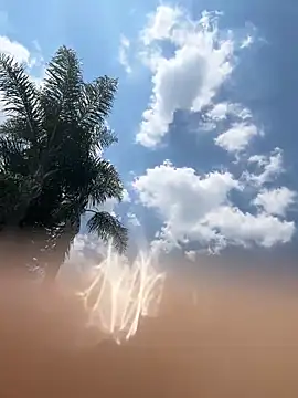 THEBUTTERNUT online show from 6, 2, 2026