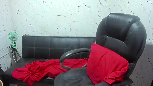  ace ventura online show from 15, 2, 2026