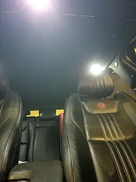 robertilevis online show from 29, 1, 2025