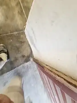 robertilevis online show from 27, 2, 2026