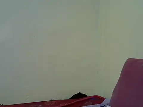 Snapshot of blackdollshe chatting on 19, 6, 2026 blackdollshe online show from 19, 6, 2026