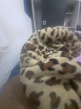 Rafs46 online show from 20, 2, 2026