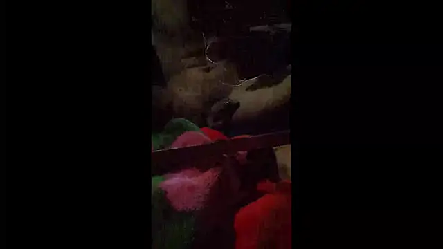 008Alexan online show from 22, 4, 2026