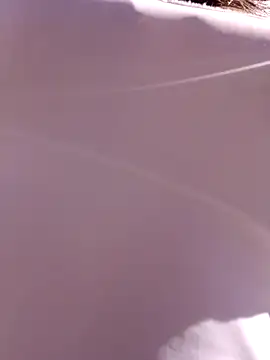 Violeta 12- online show from 22, 1, 2025