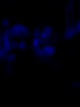AlphaAlluring69 online show from 11, 5, 2026