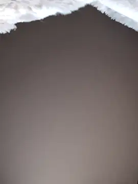 No-ties-fk online show from 8, 2, 2026