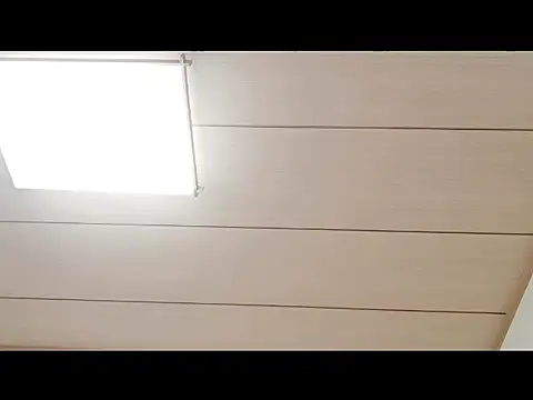 xxArisaxx online show from 19, 9, 2025