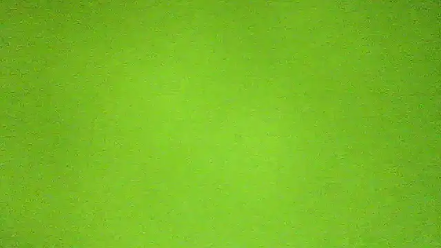 AbbyX online show from 29, 11, 2025