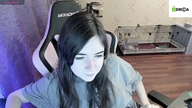 Crazy forest fairy online show from 19, 12, 2024