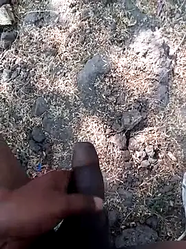 Ajith mvi online show from 12, 3, 2026