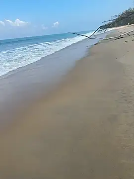 sexntease online show from 5, 3, 2025