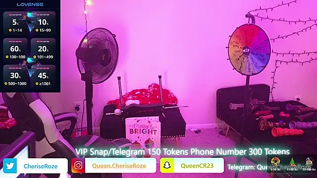 Snapshot of cheriserozequeen chatting on 22, 12, 2024 cheriserozequeen online show from 22, 12, 2024