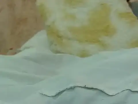 Snapshot of hairy_pussywet chatting on 4, 2, 2025 hairy pussywet online show from 4, 2, 2025