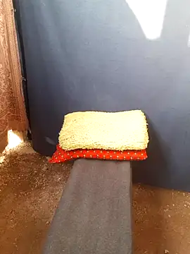 Burhade-- online show from 12, 10, 2025