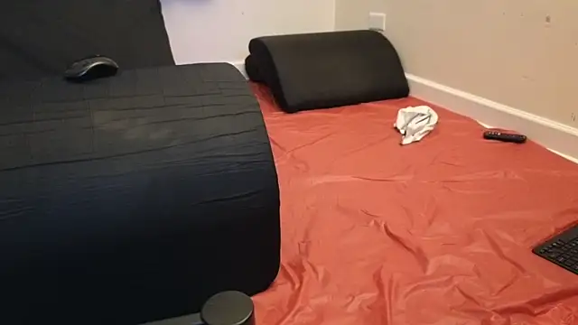 pantslesstraveler plt online show from 3, 2, 2025