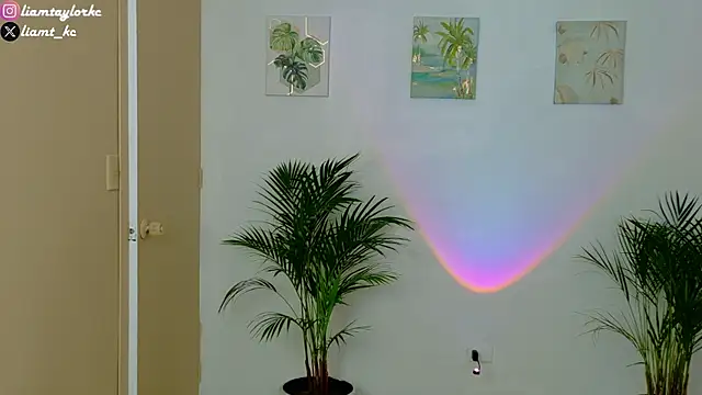 Liam Taylor online show from 3, 12, 2025