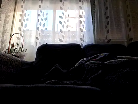 Javier bear online show from 26, 2, 2025