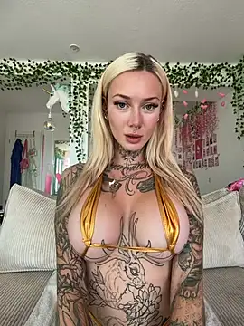 Stella-Kink online show from 11, 7, 2026