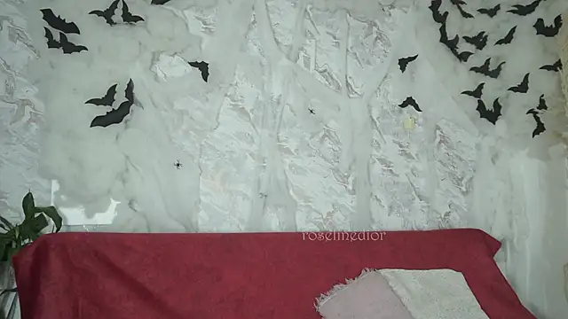 roselinedior online show from 28, 10, 2025