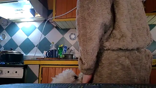 Jony Marta online show from 24, 11, 2025