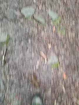 FreezingTie850 online show from 10, 3, 2026