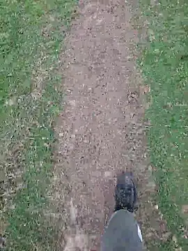 FreezingTie850 online show from 21, 4, 2026