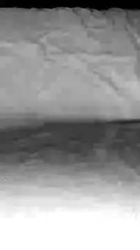 BigAssKi online show from 3, 2, 2025