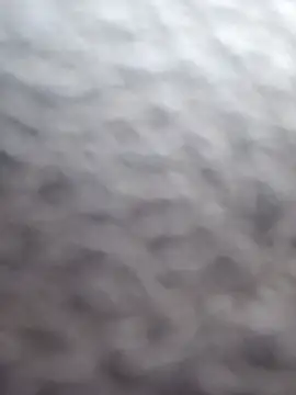 Snapshot of cdressupdiva chatting on 20, 2, 2025 cdressupdiva online show from 20, 2, 2025