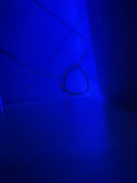 Bennyben8604 online show from 7, 12, 2024