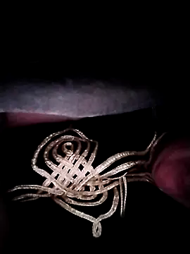 nayakaA7 online show from 21, 11, 2025