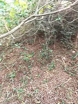 Snapshot of HathodaTyagi123 chatting on 8, 12, 2024 HathodaTyagi123 online show from 8, 12, 2024