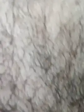 Snapshot of HathodaTyagi123 chatting on 8, 3, 2026 HathodaTyagi123 online show from 8, 3, 2026