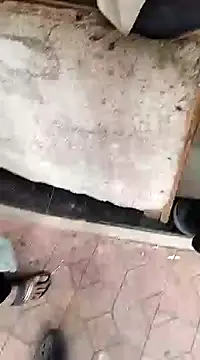 Snapshot of findmemylove chatting on 22, 12, 2024 findmemylove online show from 22, 12, 2024