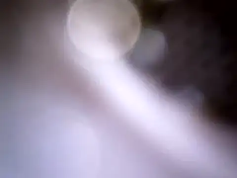 Beijing2000 online show from 14, 1, 2025