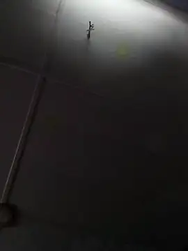 beelzebubblesxo online show from 9, 1, 2026