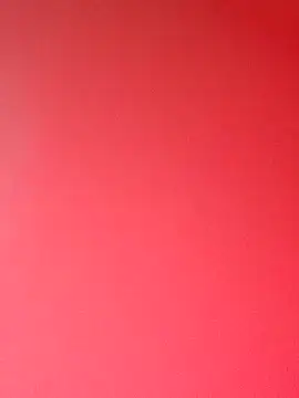 zhenzhen521 online show from 1, 2, 2026