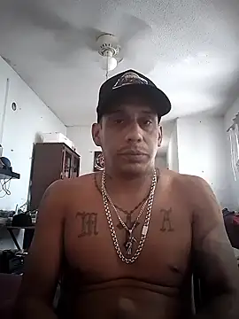 Alebir1329 online show from 12, 3, 2026